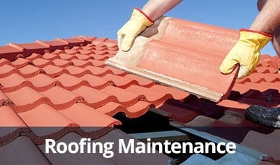 Roof Maintainence