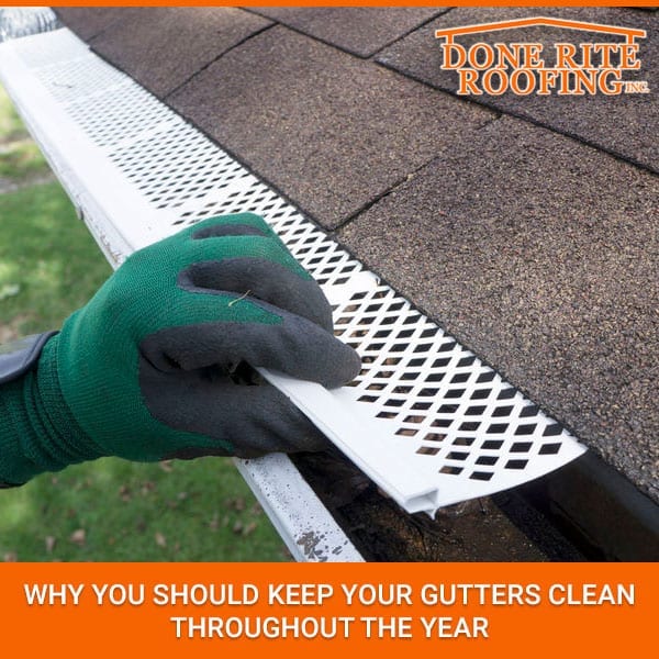 Why You Should Keep Your Gutters Clean Throughout the Year