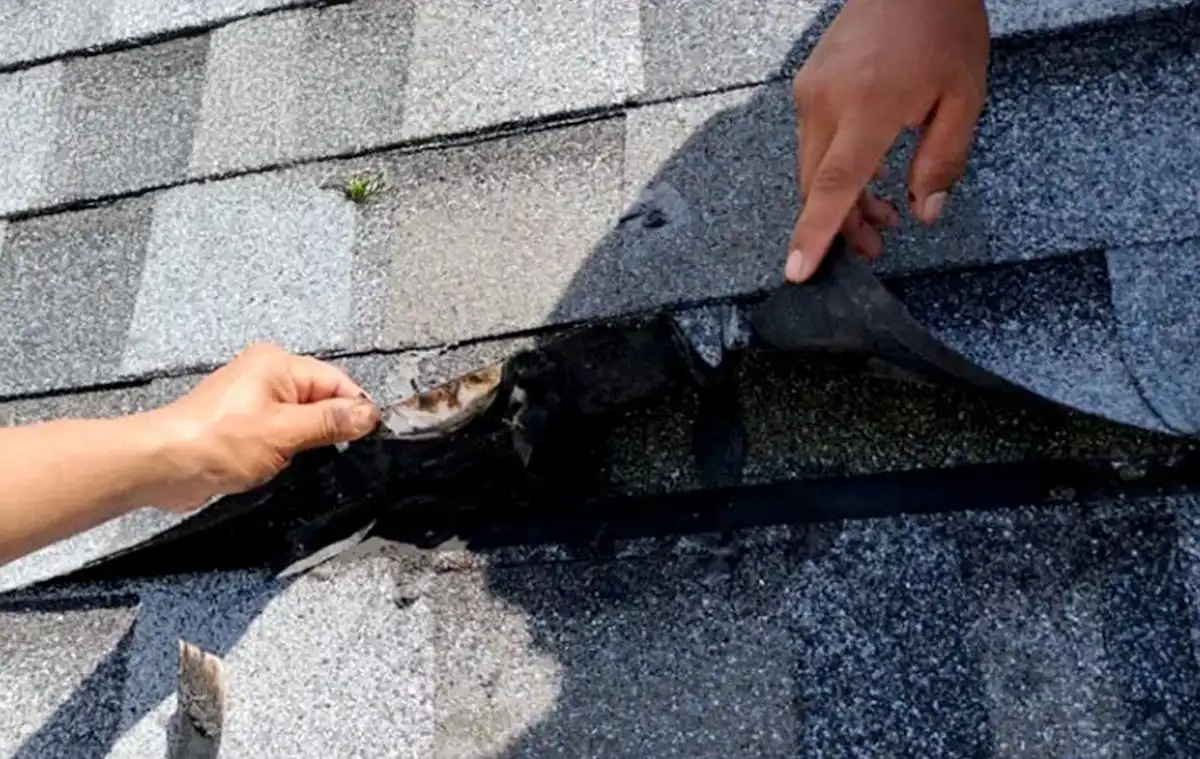 considering repairing or replacing your roof