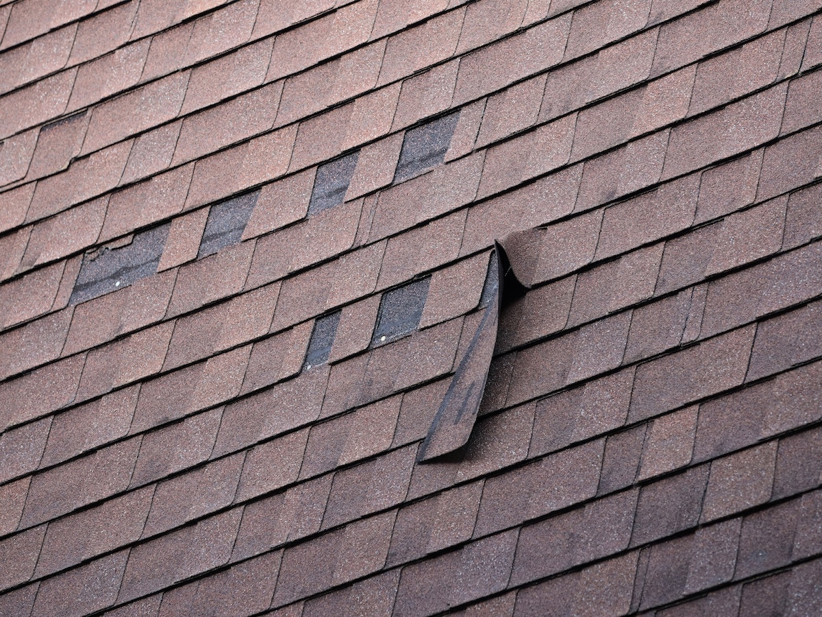 missing shingle repair